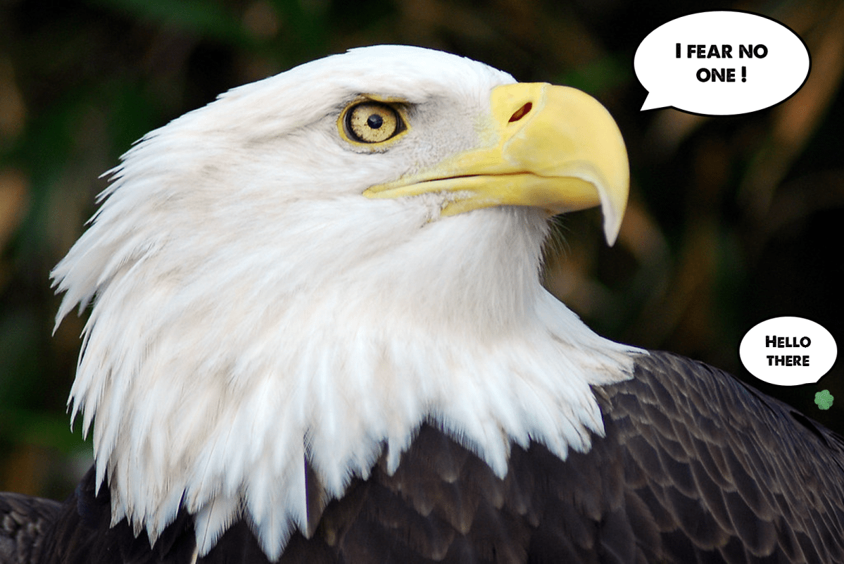 Ein Gift, sie zu&nbsp;t&ouml;ten