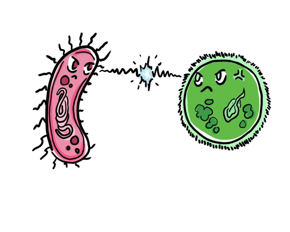 Concurrentie is de regel bij kweekbare microben.