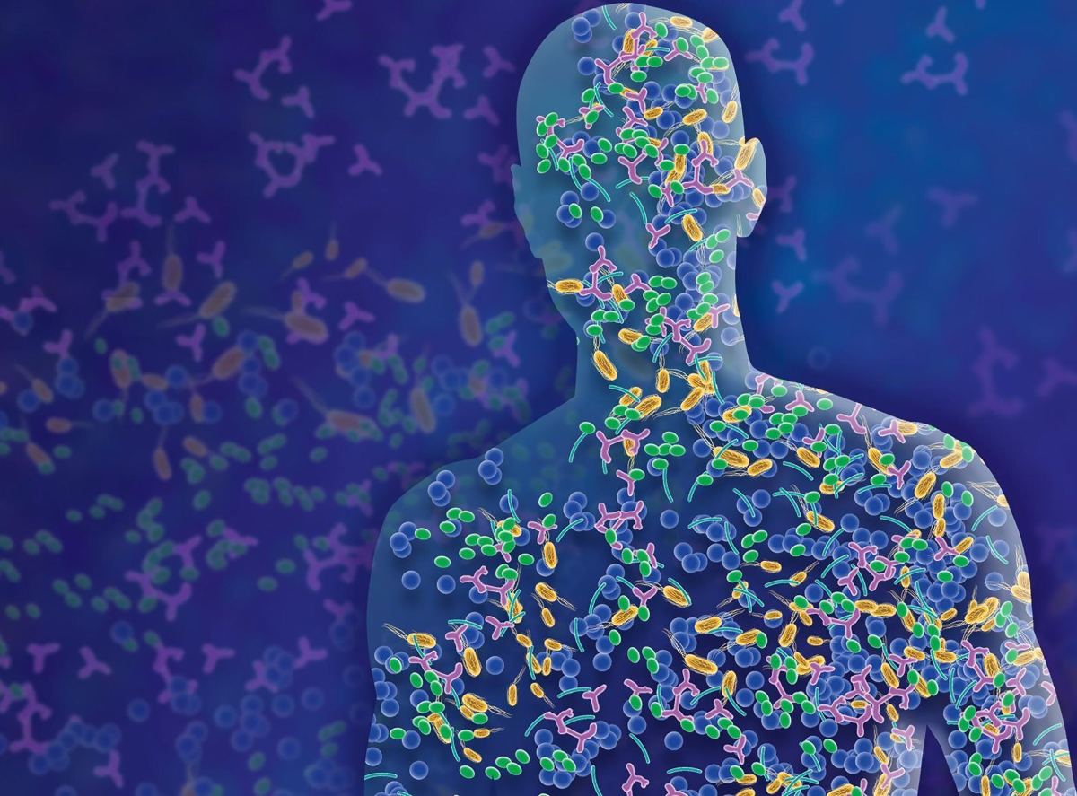 Mikroben und Immunzellen gemeinsam gegen resistente Krankheitserreger.