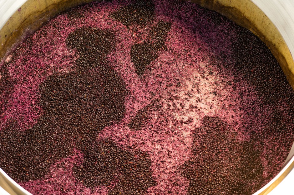 Improving wine with a cocktail of microorganisms