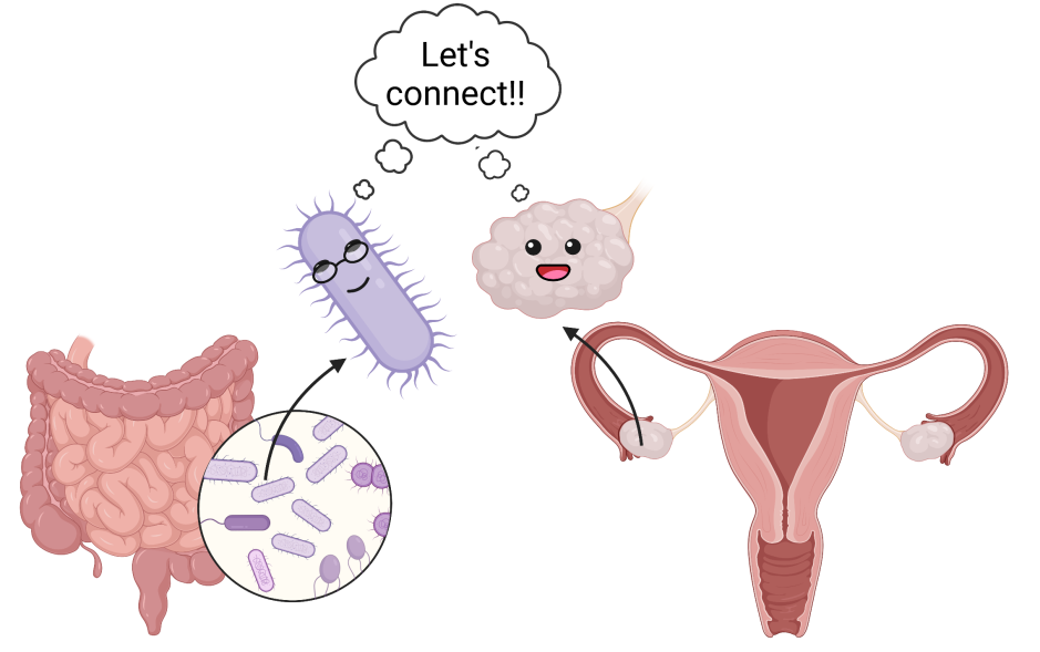 PCOS and gut microbiota on the body’s social media map