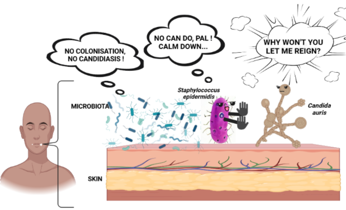Skin Microbiota Defends Colonisation By Candida auris