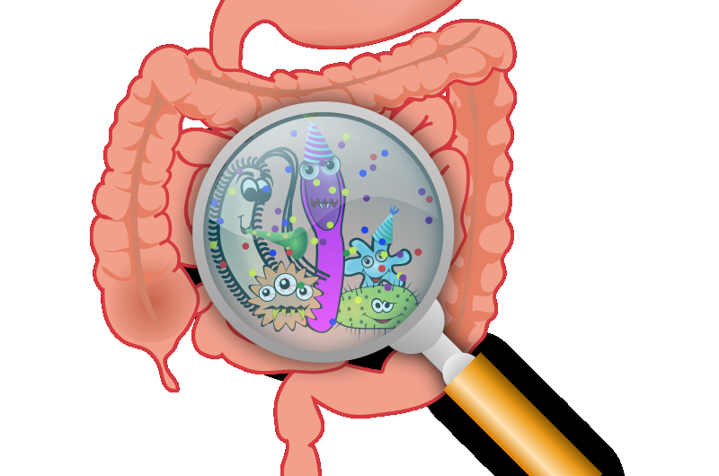 How does you falling ill affect the microbes that exist within you?