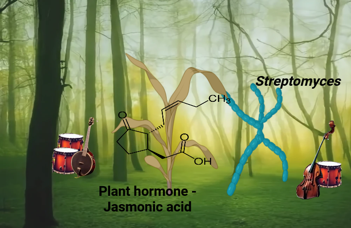 Botany tango: Saga of Jasmonic acid & Streptomyces