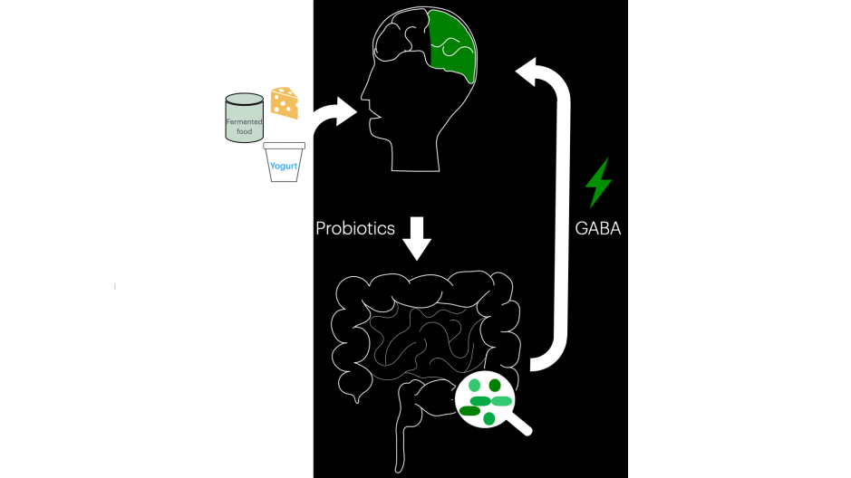 Hoe be&iuml;nvloeden darmbacteri&euml;n onze geestelijke&nbsp;gezondheid?