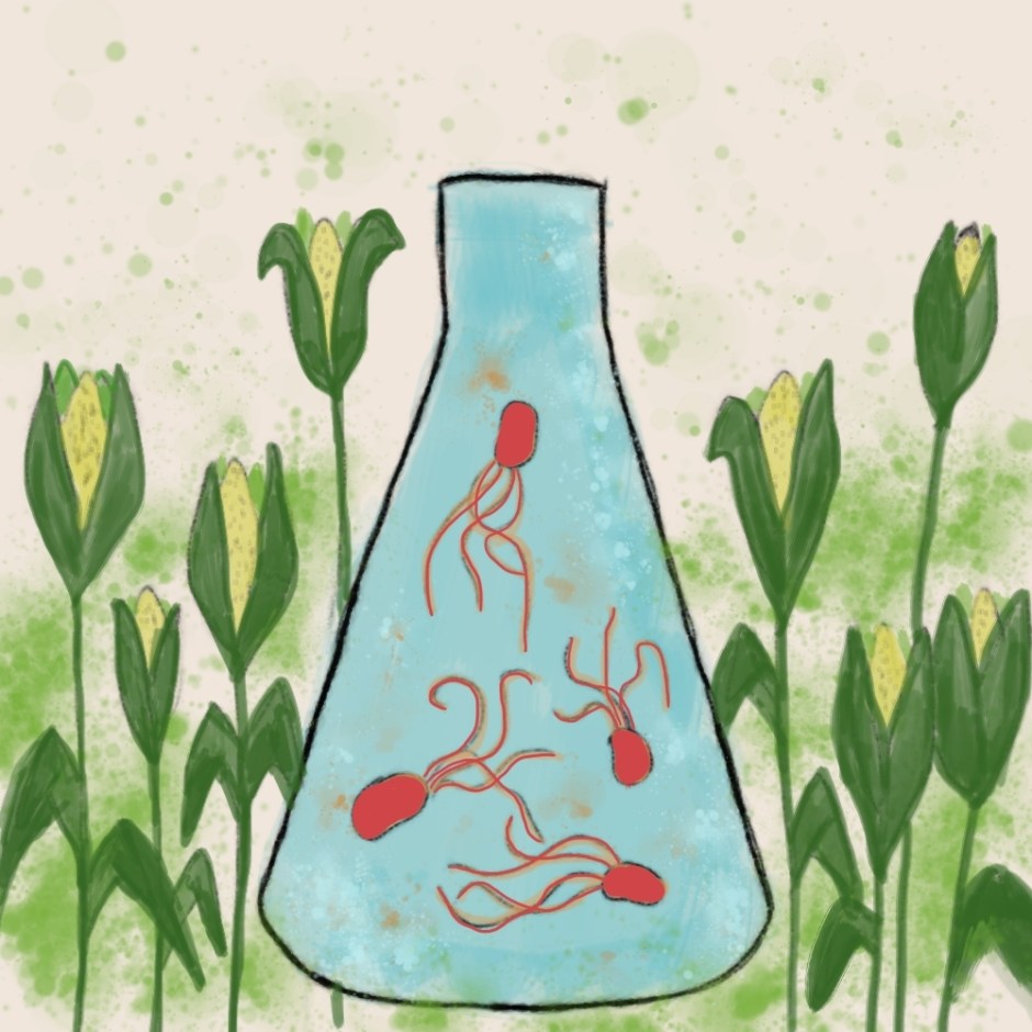 Wie Bakterien ihre Ern&auml;hrung&nbsp;umstellen