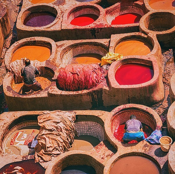 Iets in het water: Giftig afval en&nbsp;schimmels