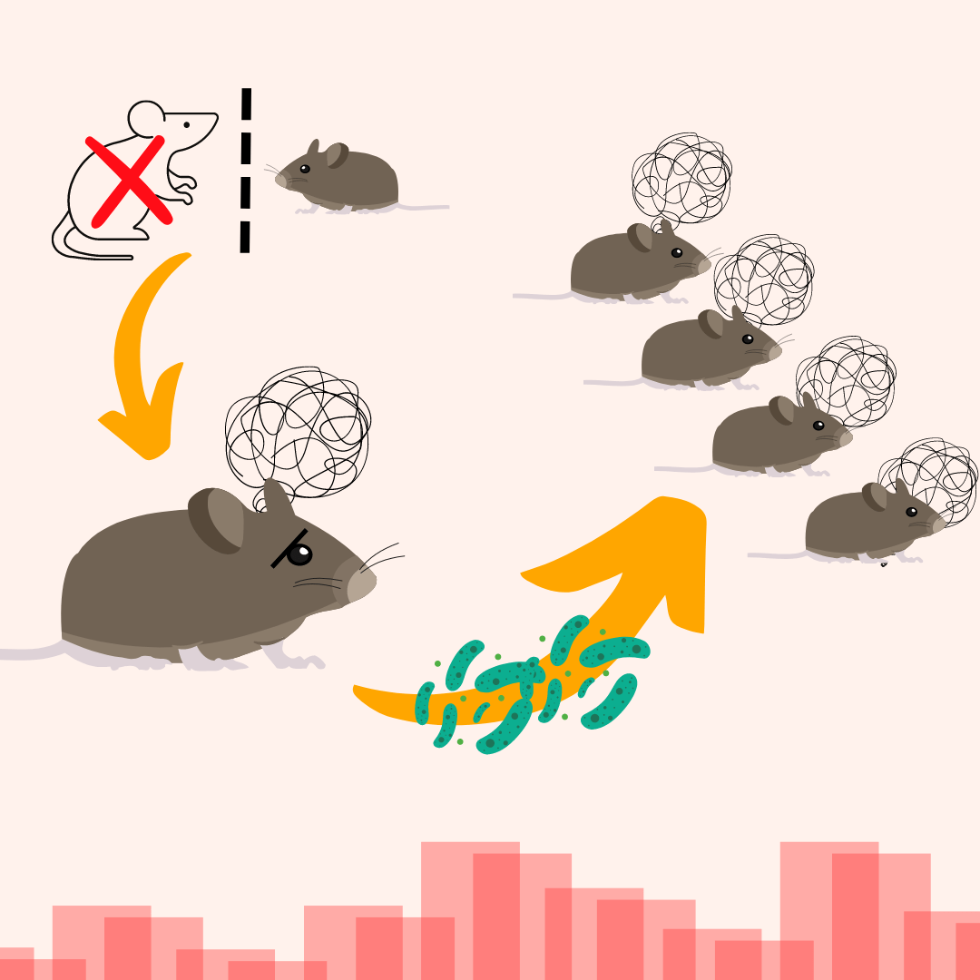 &iquest;Pueden los microbios transferir el estr&eacute;s a las siguientes&nbsp;generaciones?