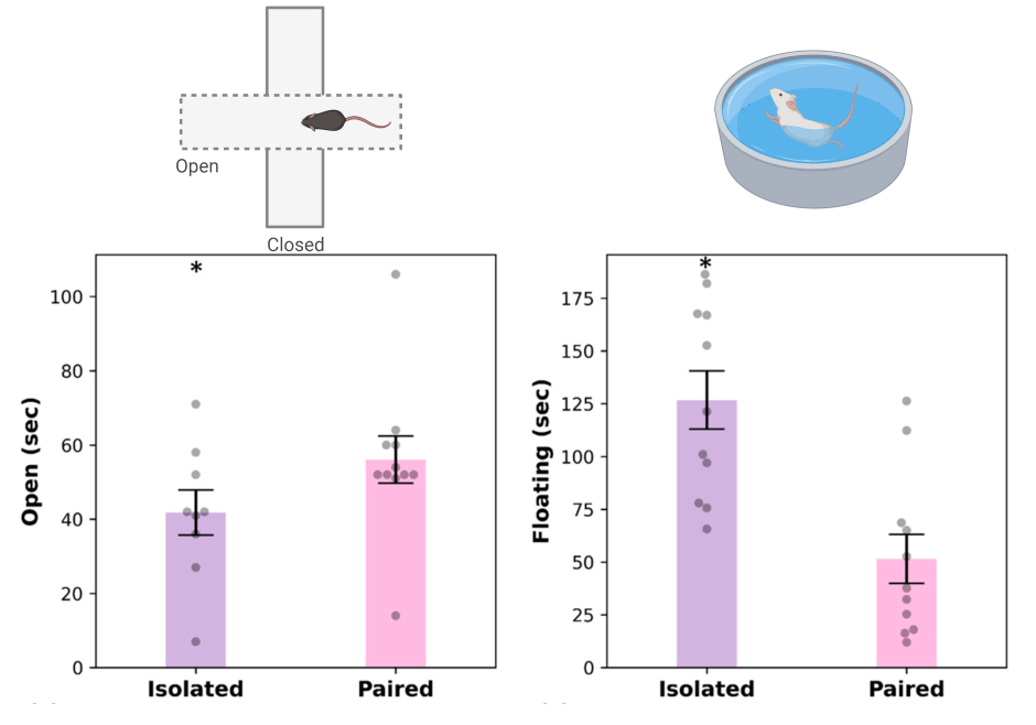 Prairie Test Alone and Unwell: Microbiome and Metabolic Changes in Female Prairie Voles