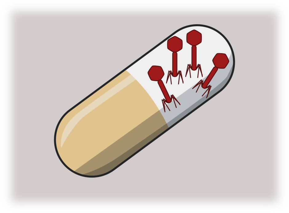 The promise of phages in the fight against antibiotic&nbsp;resistance