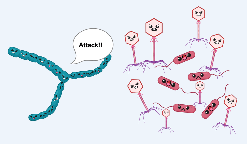 The Enemy of My Enemy is My&nbsp;Friend