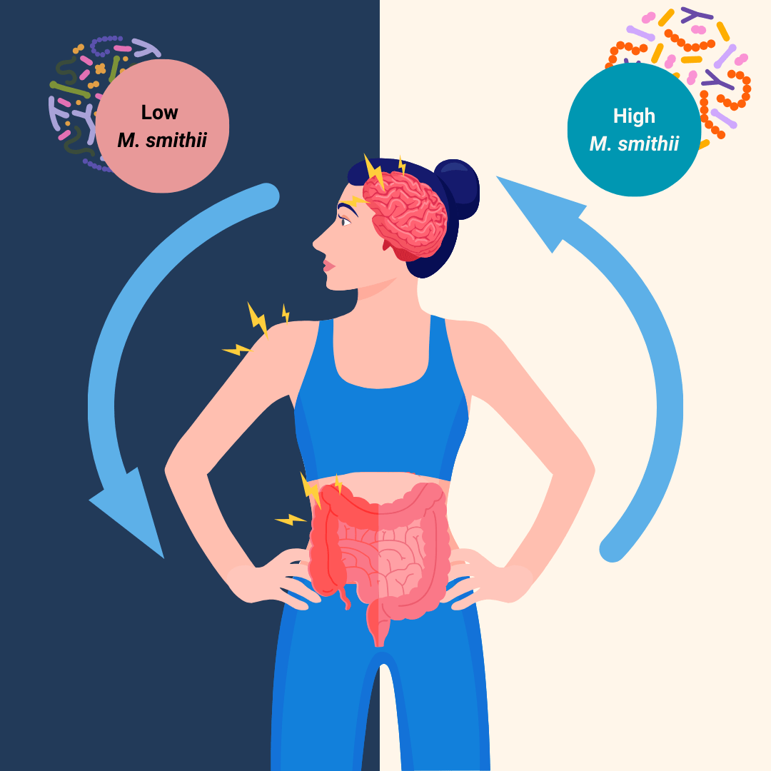 &iquest;Arqueas inteligentes? Descubre c&oacute;mo ayudan a tu&nbsp;cerebro