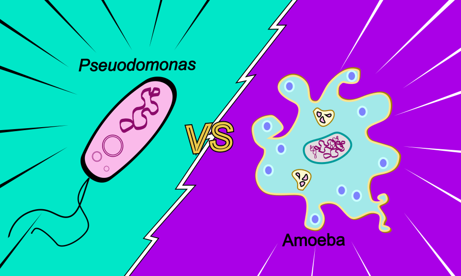 Microbial molecular warfare: When prey becomes&nbsp;predator