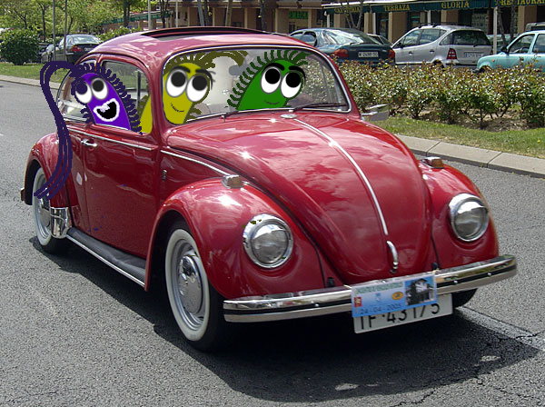 Bacteria help beetles adapt to climate&nbsp;change