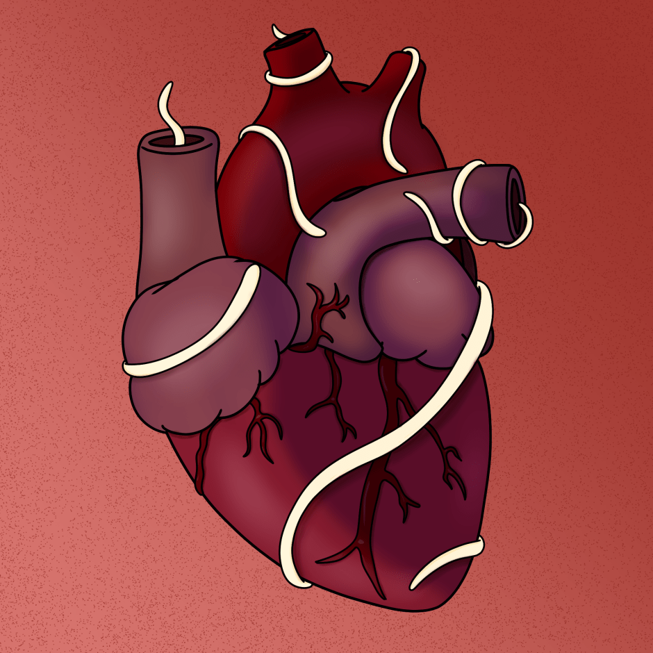 Don&rsquo;t Go Infecting My&nbsp;Heart