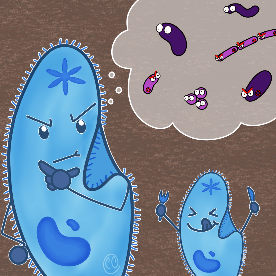 Soil Bacteria: Protozoan Prey or Potential&nbsp;Pathogen?