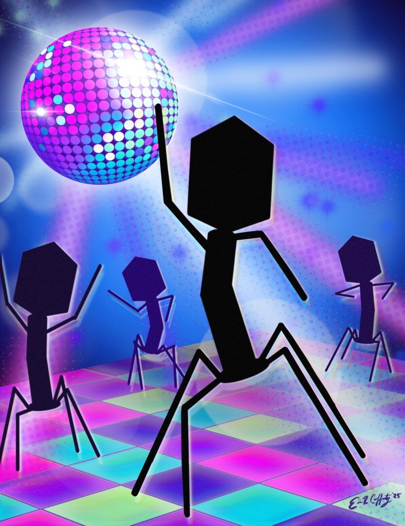 Phage discovery gets its groove back with Phage&nbsp;DisCo