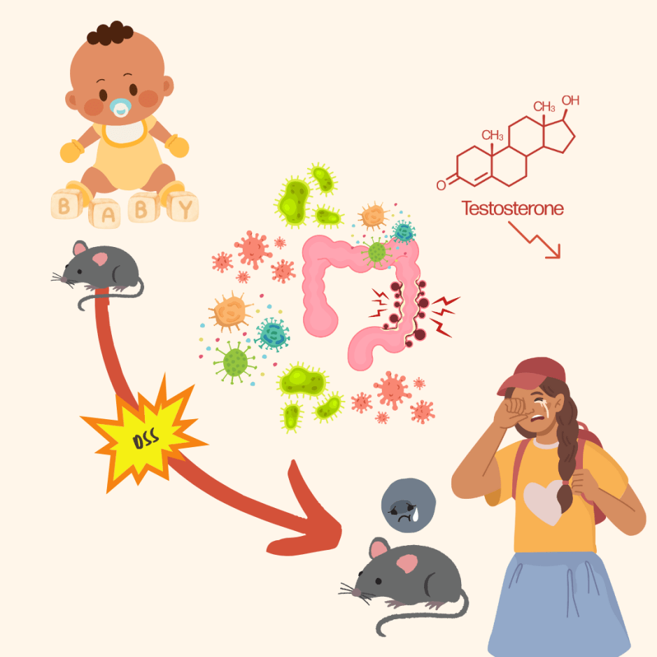 Gut Inflammation Disrupts Hormone Signals and the&nbsp;Brain