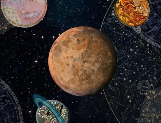 Martian Microbes? The Case of Jezero Crater