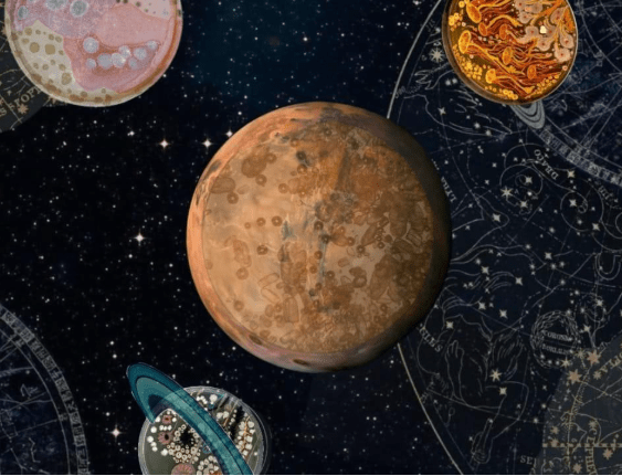 Martian Microbes? The Case of Jezero&nbsp;Crater