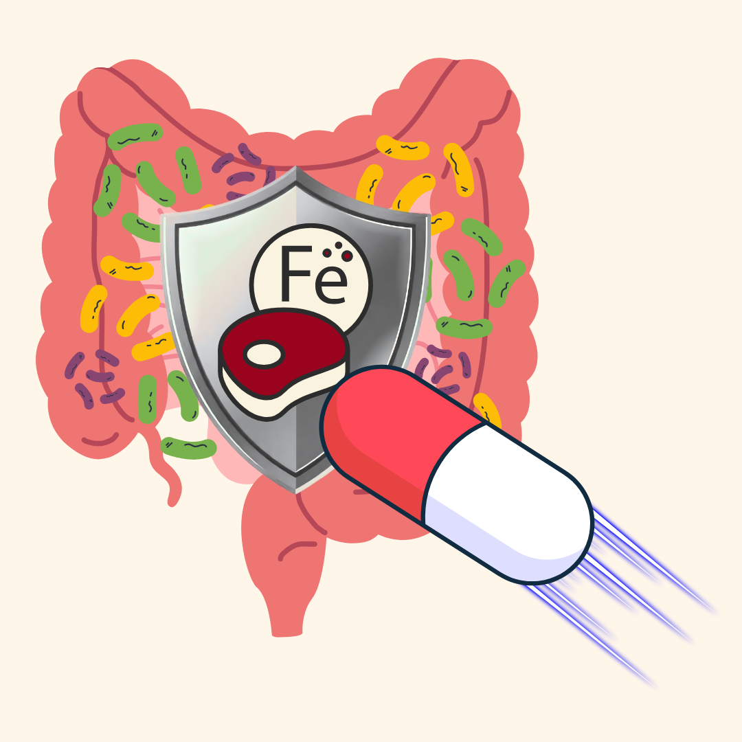 Iron from red meat protects bacteria against antibiotics