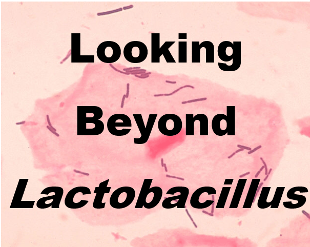 Looking Beyond Lactobacillus&nbsp;